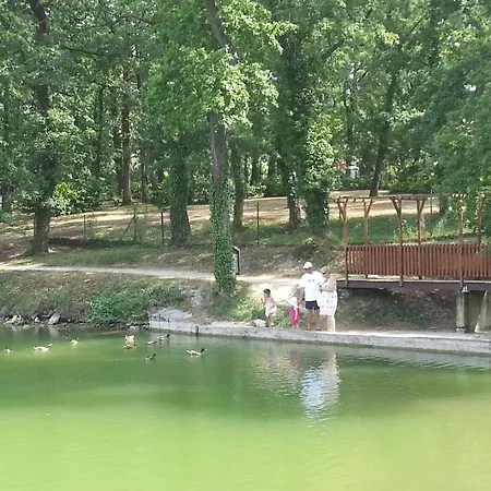Appart 1 Chb Lit Double Dans Jolie Du Lac Monflanquin